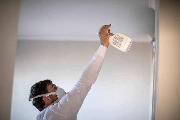 Best Office Mold Removal Services  in Burlingame, CA