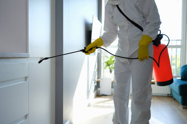 Mold Testing and Removal in Burlingame, CA