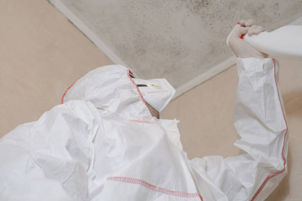 Best Mold Removal Near Me  in Burlingame, CA